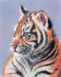 Tiger Cub III by Pip McGarry - Original Painting, Canvas on Board sized 8x10 inches. Available from Whitewall Galleries